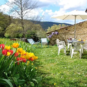  Holiday home Casa Al Miglio