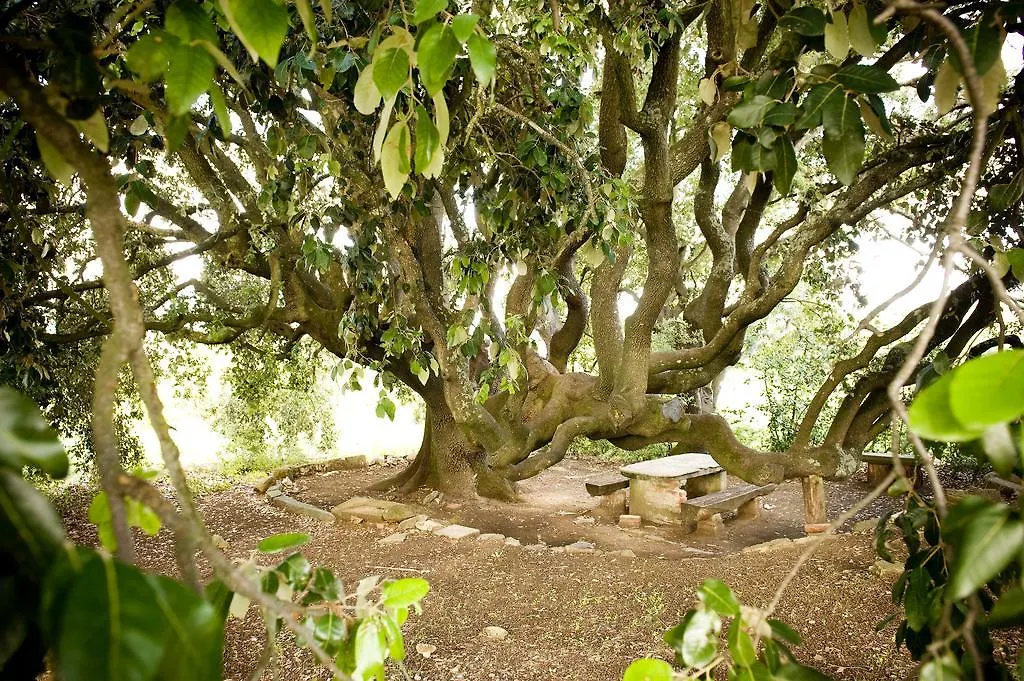 Fattoria Casabianca Villa Bucine Farm stay